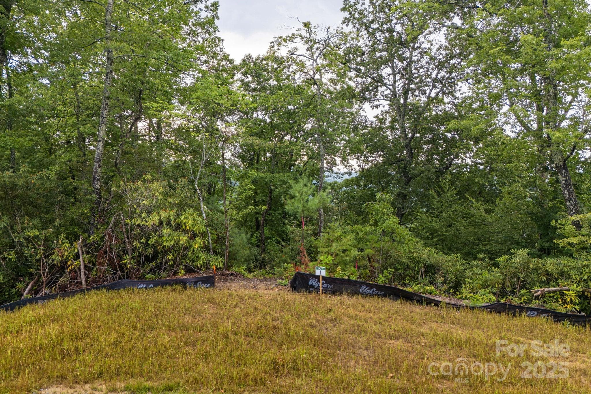 Lot at Lot # 1 Masterpiece View Drive, Hendersonville, photo 3 of 43