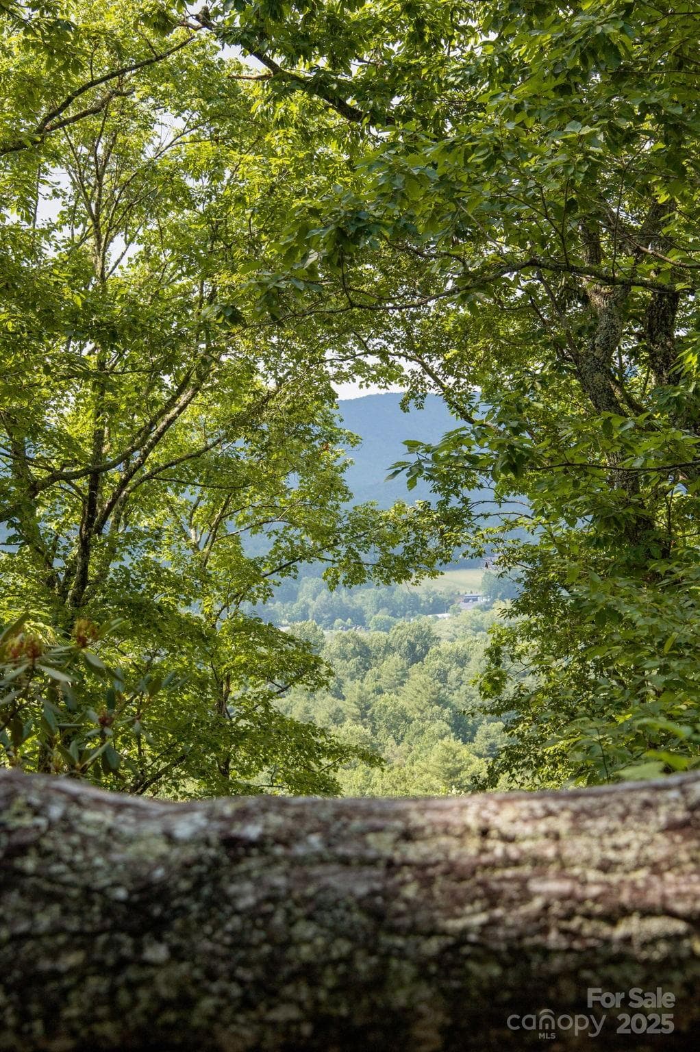 Lot at Lot # 1 Masterpiece View Drive, Hendersonville, photo 7 of 43