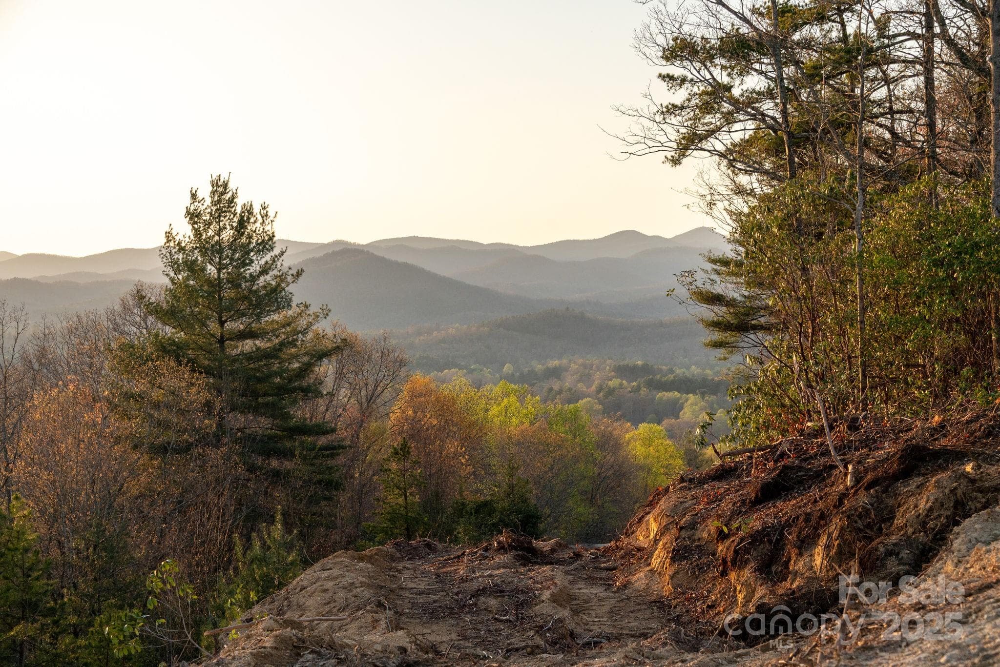 Lot at Lot # 1 Masterpiece View Drive, Hendersonville, photo 24 of 43