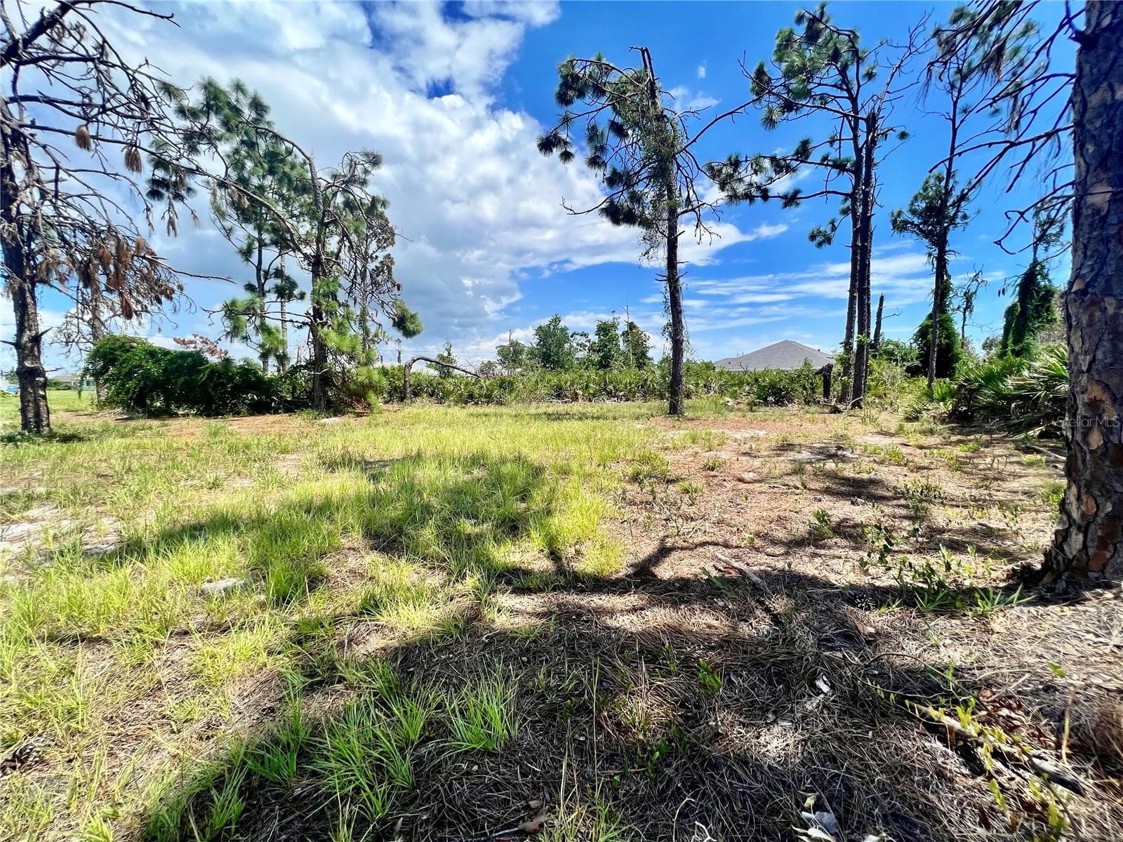 228 FAIRWAY RD