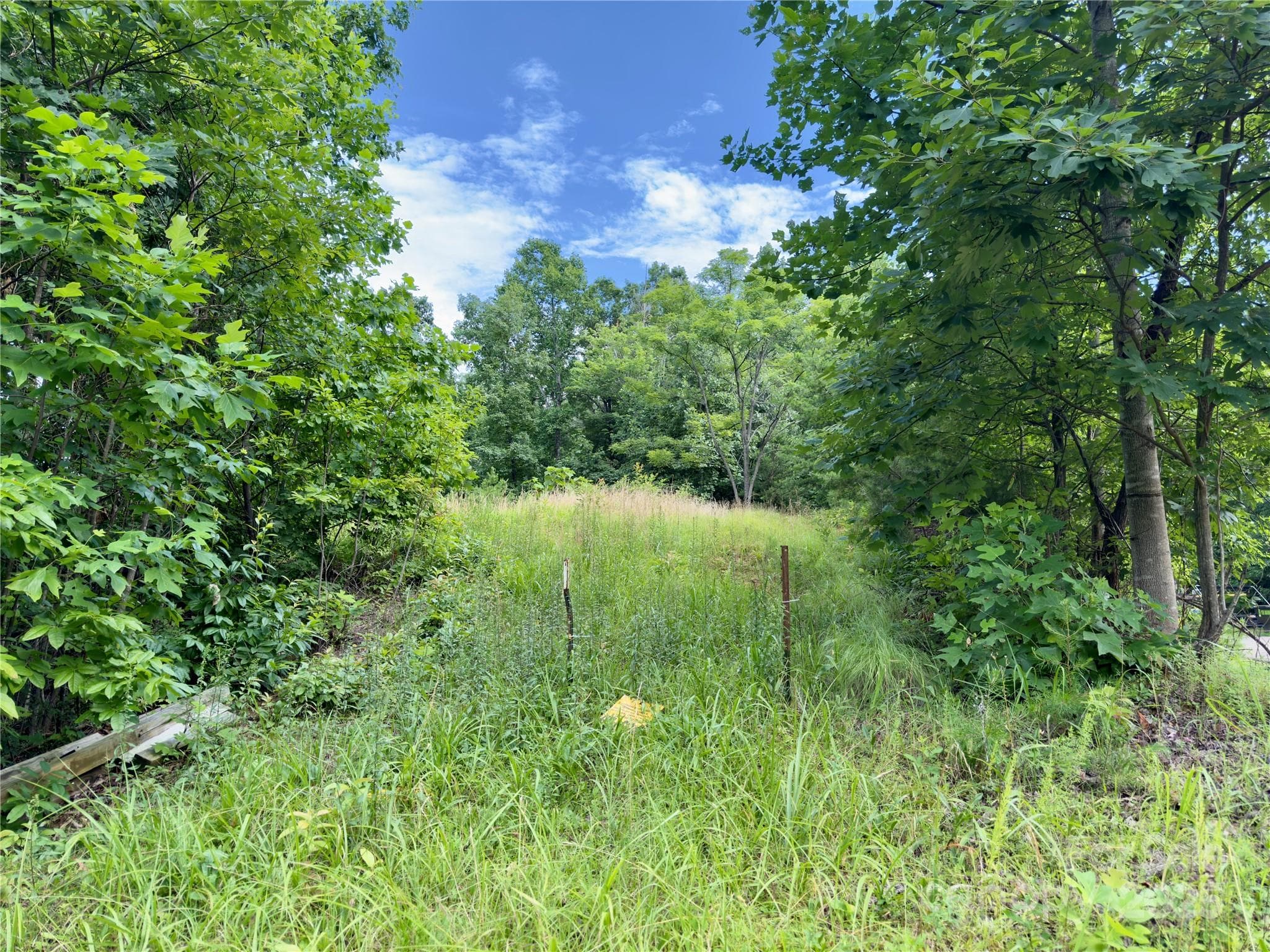 Lot at V/L Black Lark Drive, Marion, photo 2 of 18