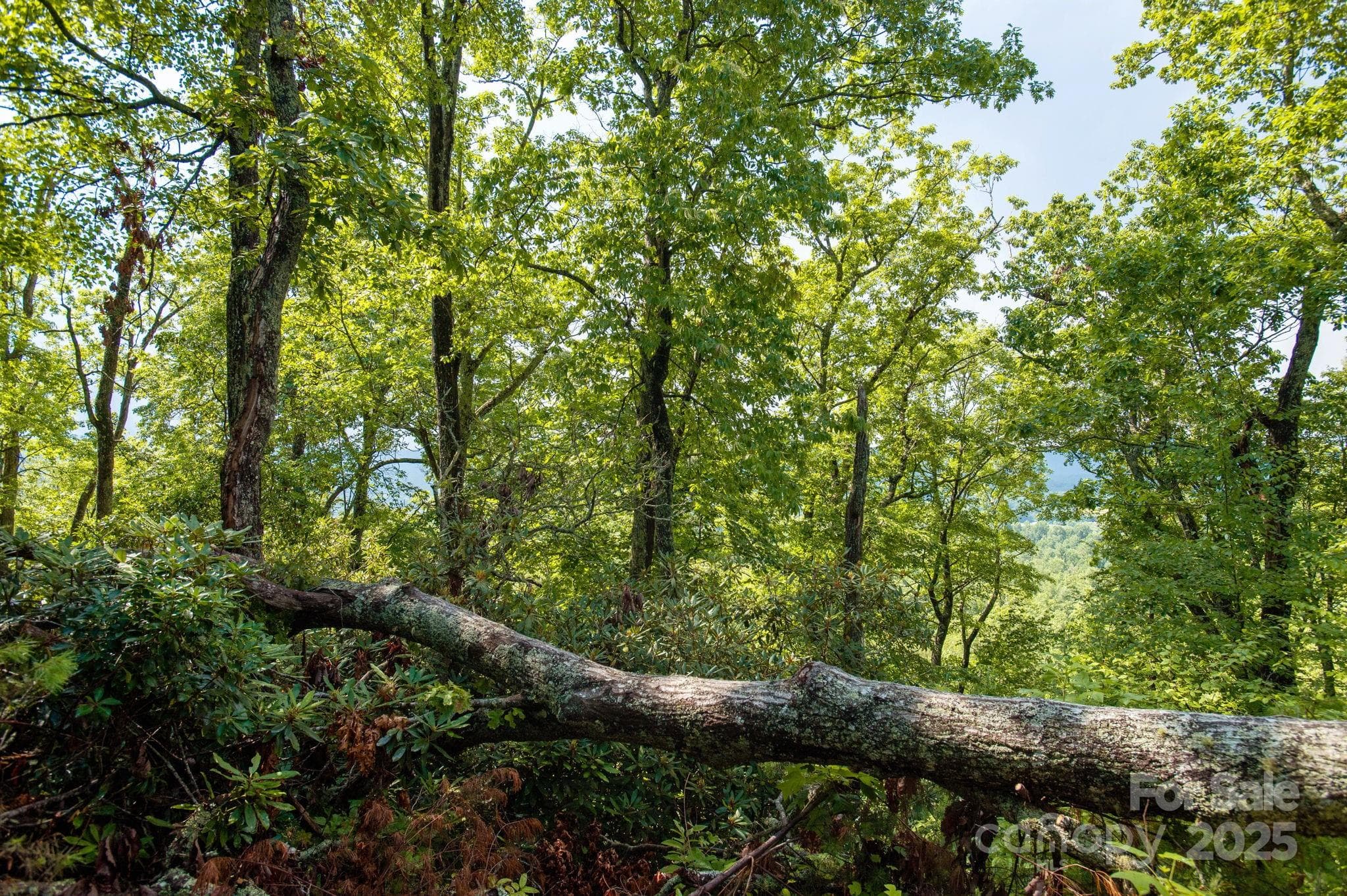 Lot at Lot # 1 Masterpiece View Drive, Hendersonville, photo 32 of 43