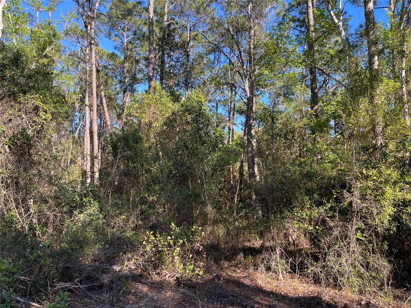 Land at 208 SE 3RD ST, GEORGETOWN, photo 3 of 5
