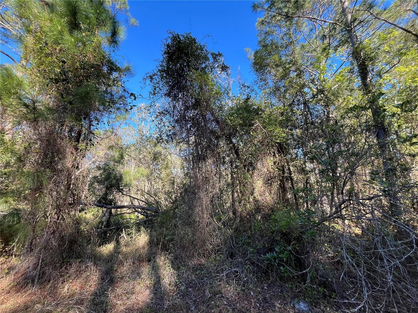 Land at 208 SE 3RD ST, GEORGETOWN, photo 5 of 5