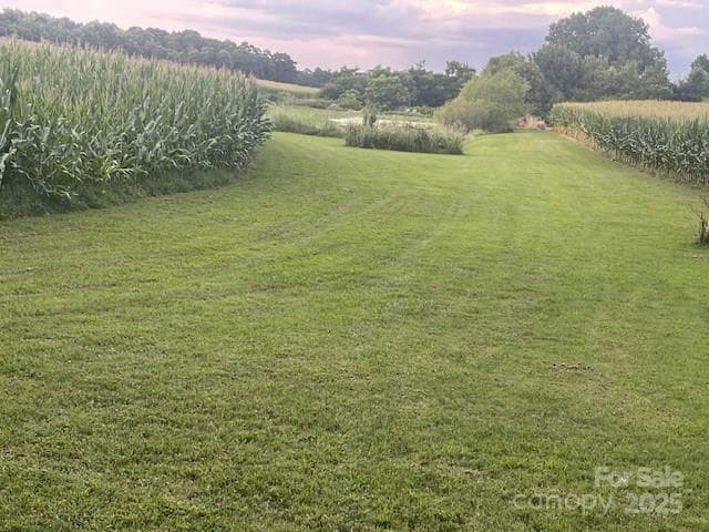 Between crops to the pond - 3513 Gilboa Road, Marshville