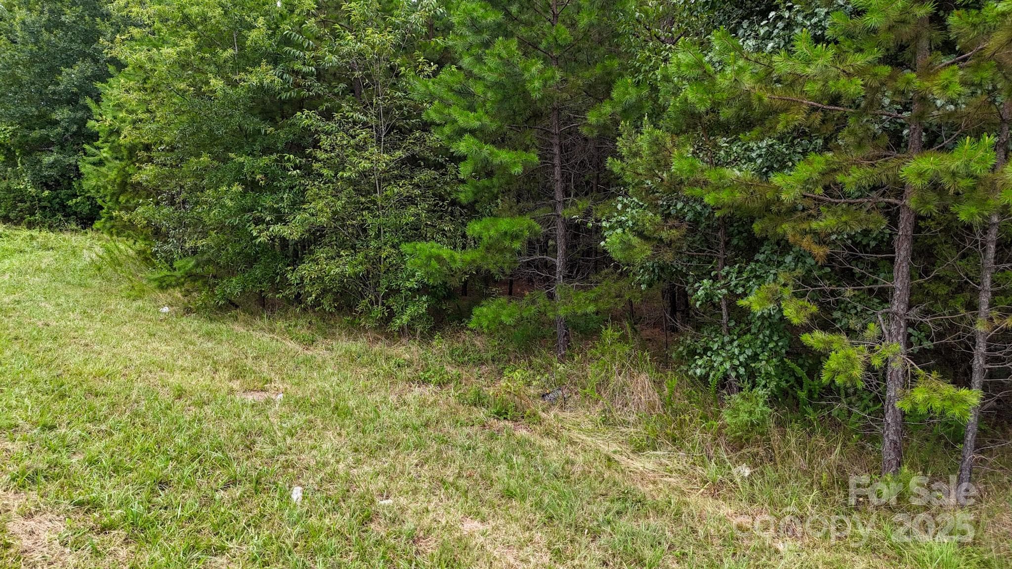 Unimproved Commercial at 00 Kool Park Road NE, Hickory, photo 14 of 18