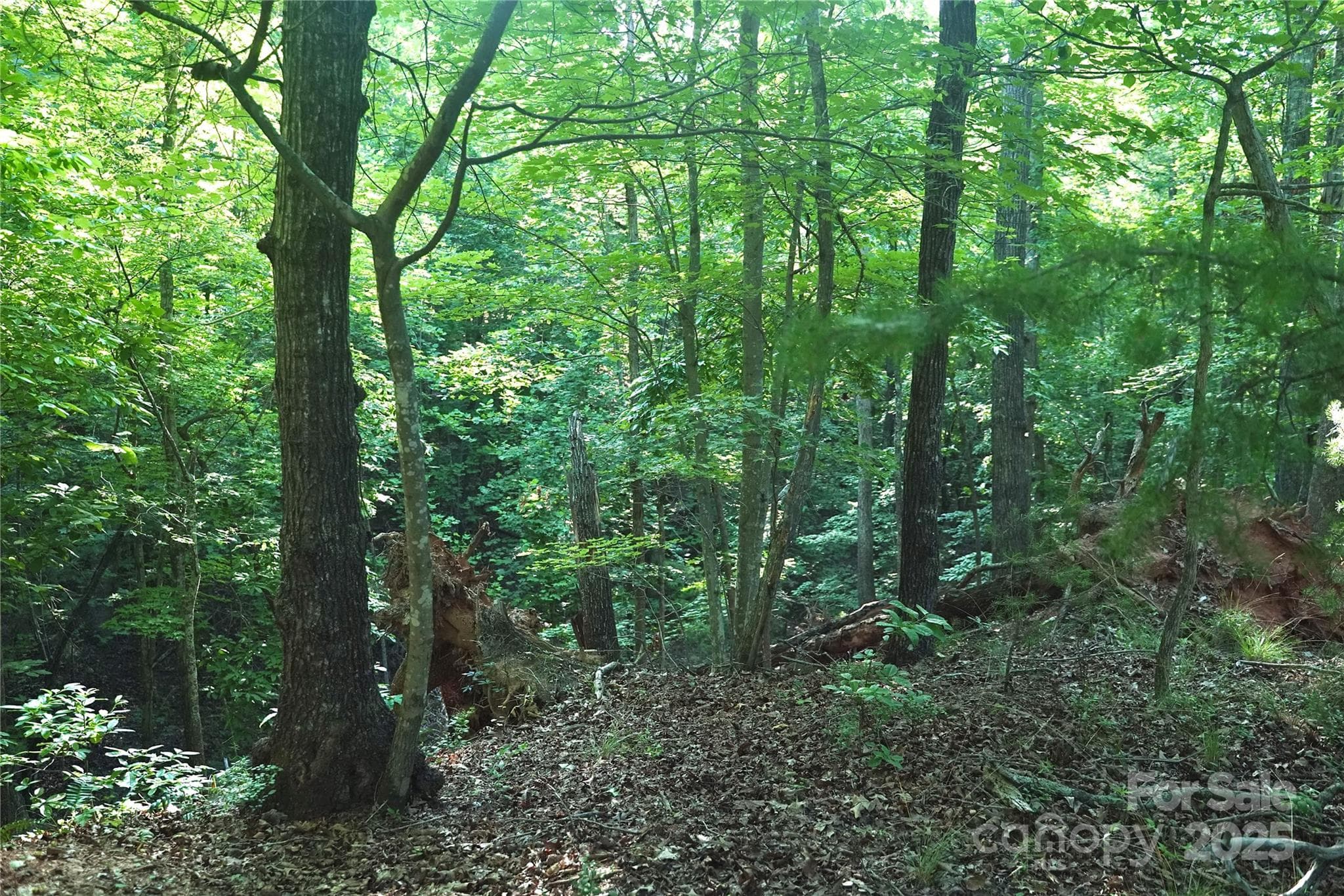 Lot at 0 Parkway North None, Mill Spring, photo 2 of 9