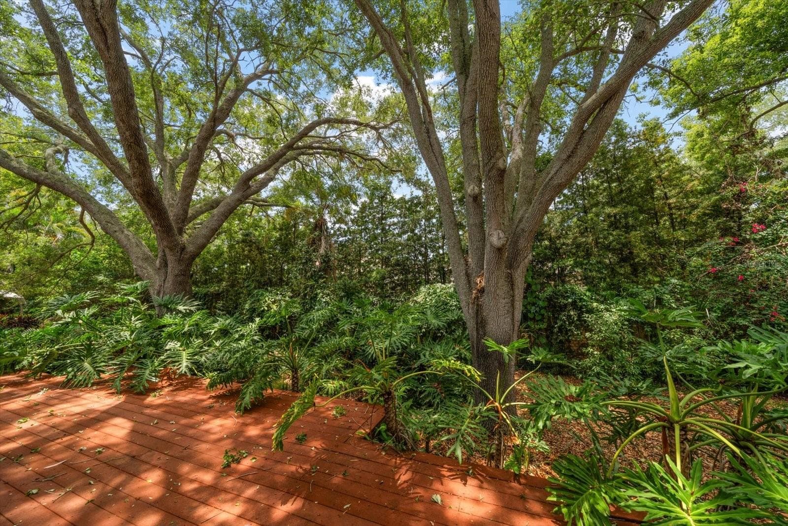 Single Family Residence at 7 ROSERY LN, BELLEAIR, photo 57 of 57