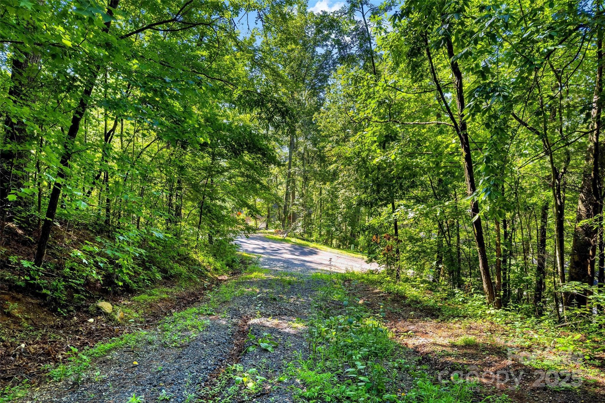Lot at Lot #76 Hunnicut Spur Road, Marion, photo 2 of 28