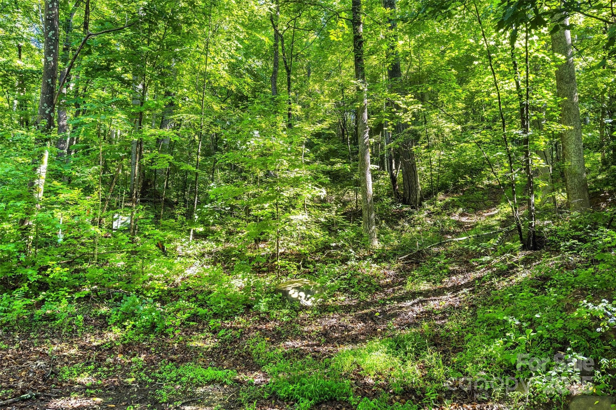Lot at Lot #76 Hunnicut Spur Road, Marion, photo 6 of 28