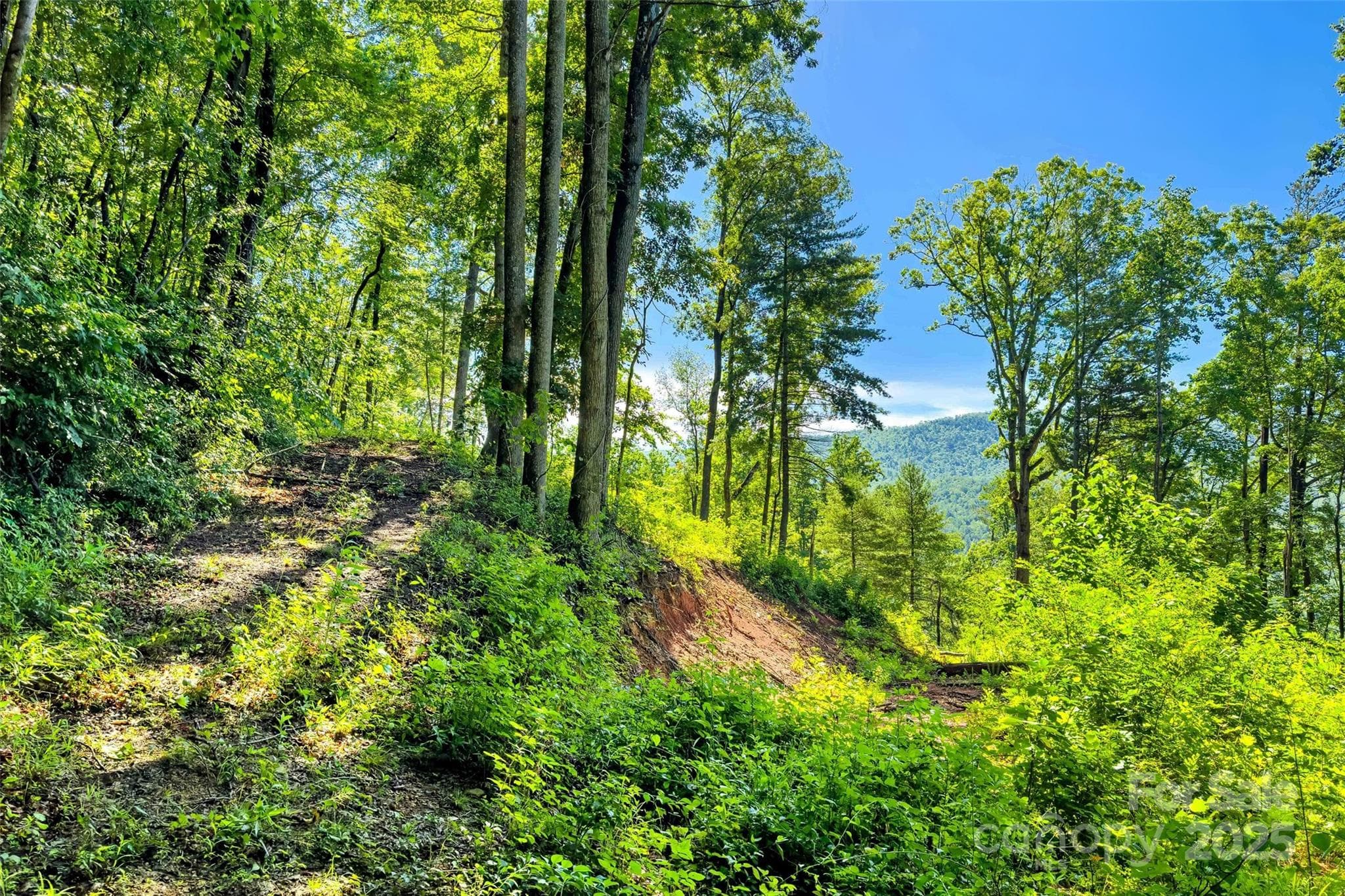 Lot at Lot #76 Hunnicut Spur Road, Marion, photo 11 of 28