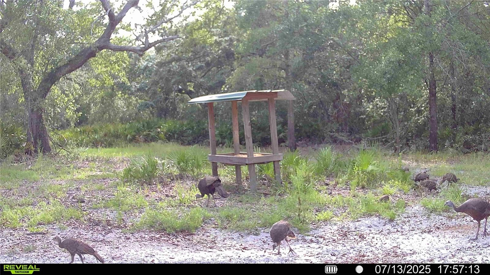 Farm at 2669 NW SUWANNEE VALLEY RD, LAKE CITY, photo 65 of 66