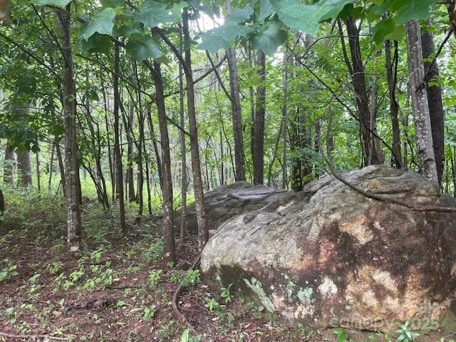 Lot at Mill Spring, photo 2 of 8