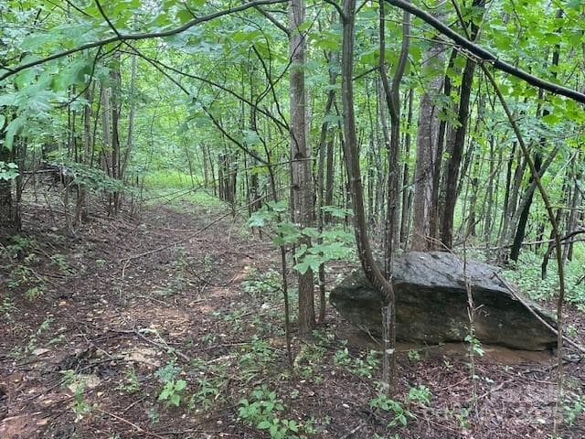 Lot at Mill Spring, photo 4 of 8