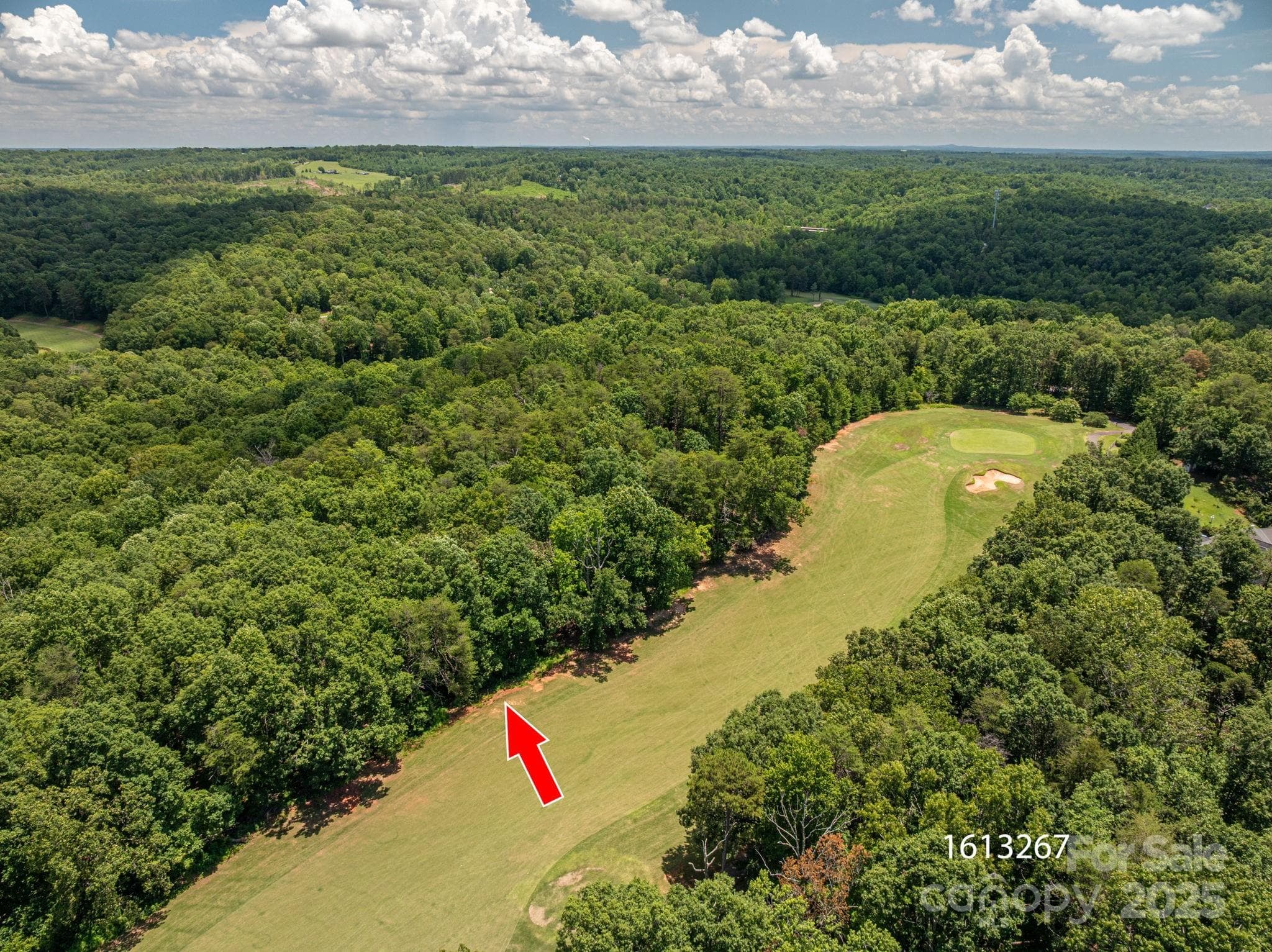 Lot at Lot 217 Plantation Drive, Rutherfordton, photo 4 of 15