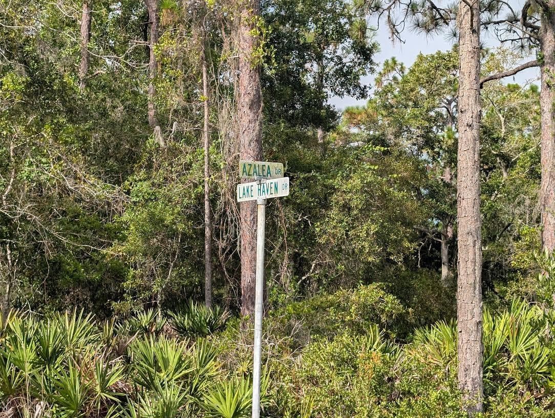 523 AZALEA DR