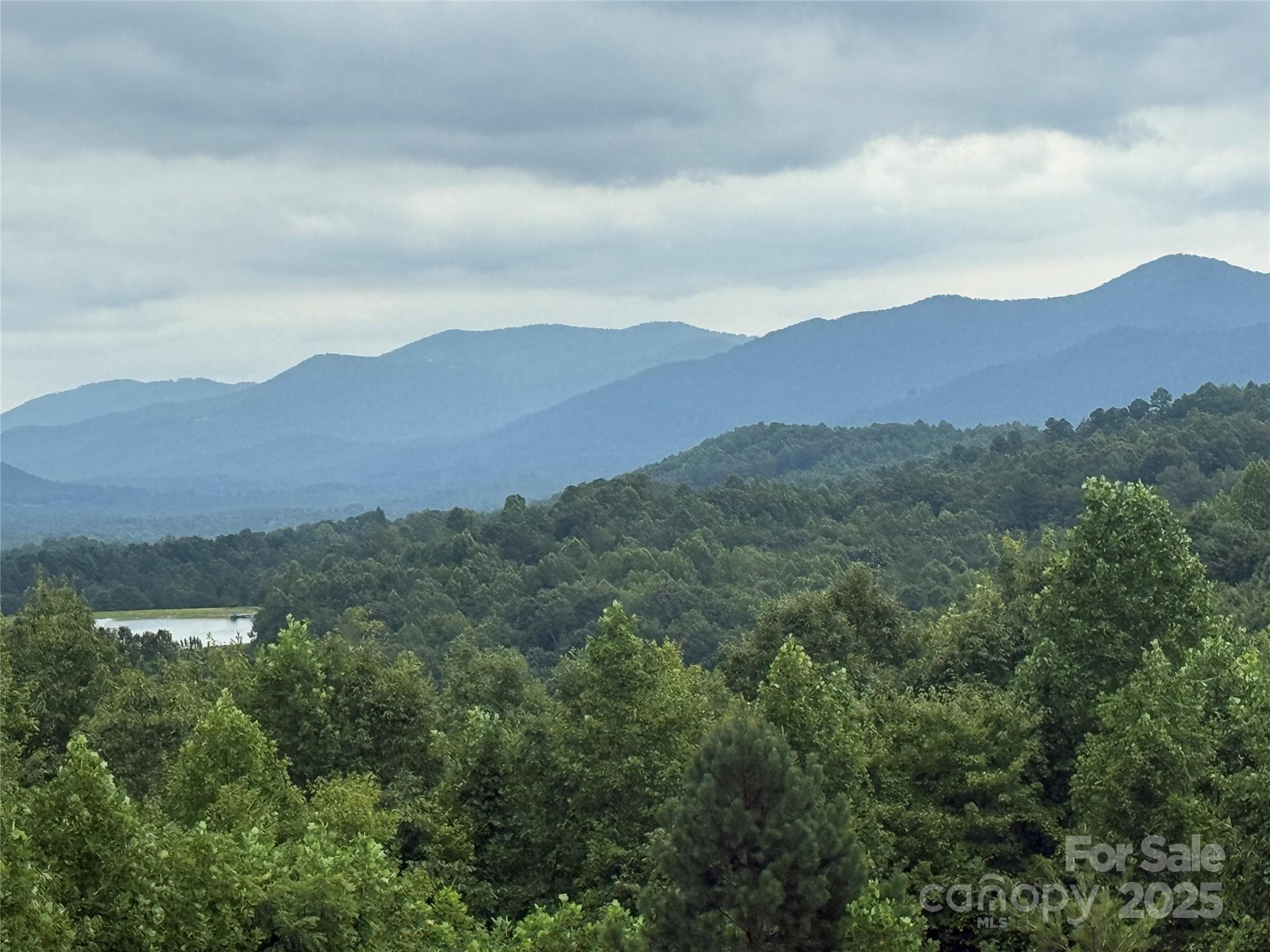 Lot at Nebo, photo 2 of 33
