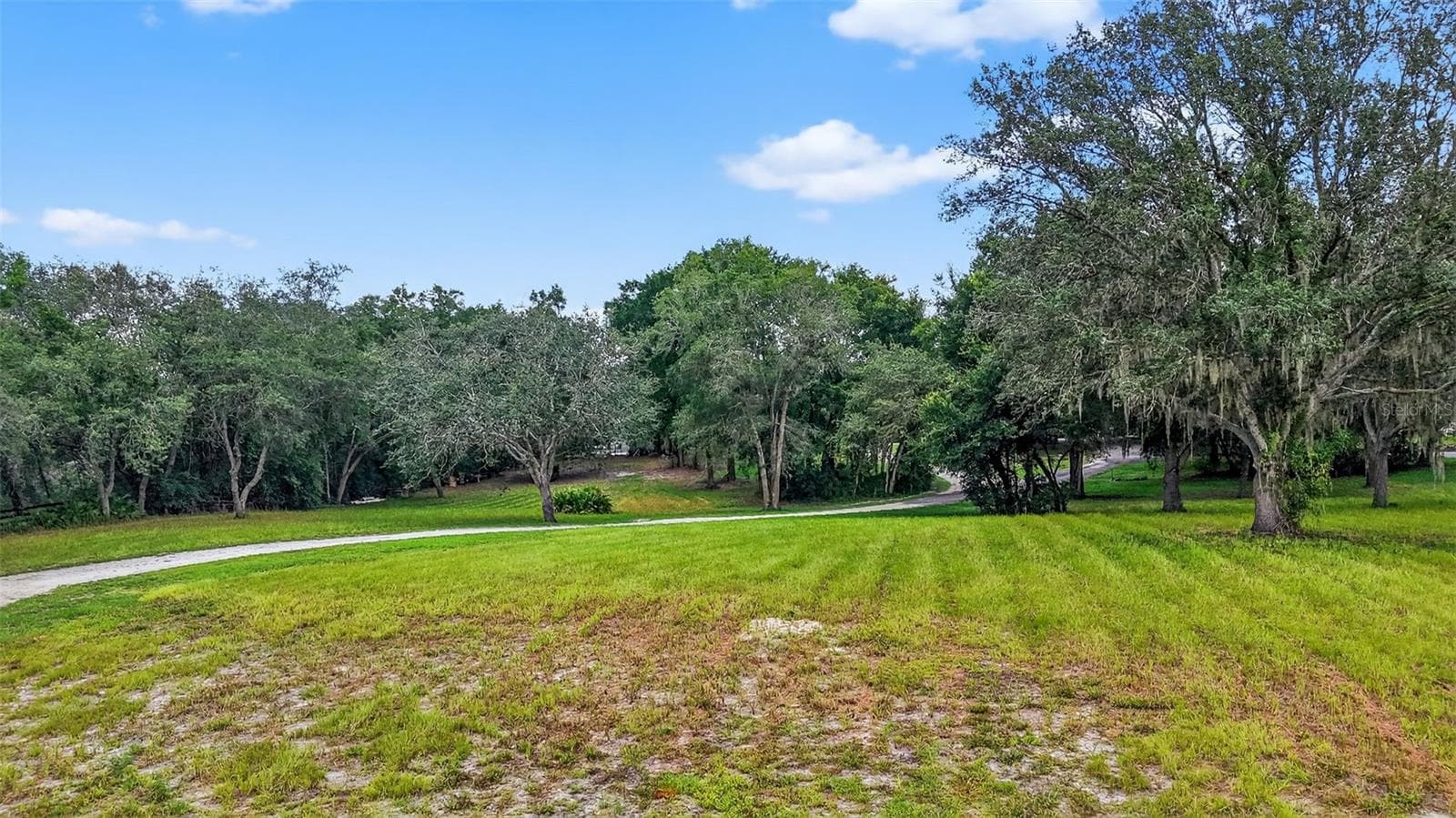 Land at 1862 S US 301, SUMTERVILLE, photo 7 of 25