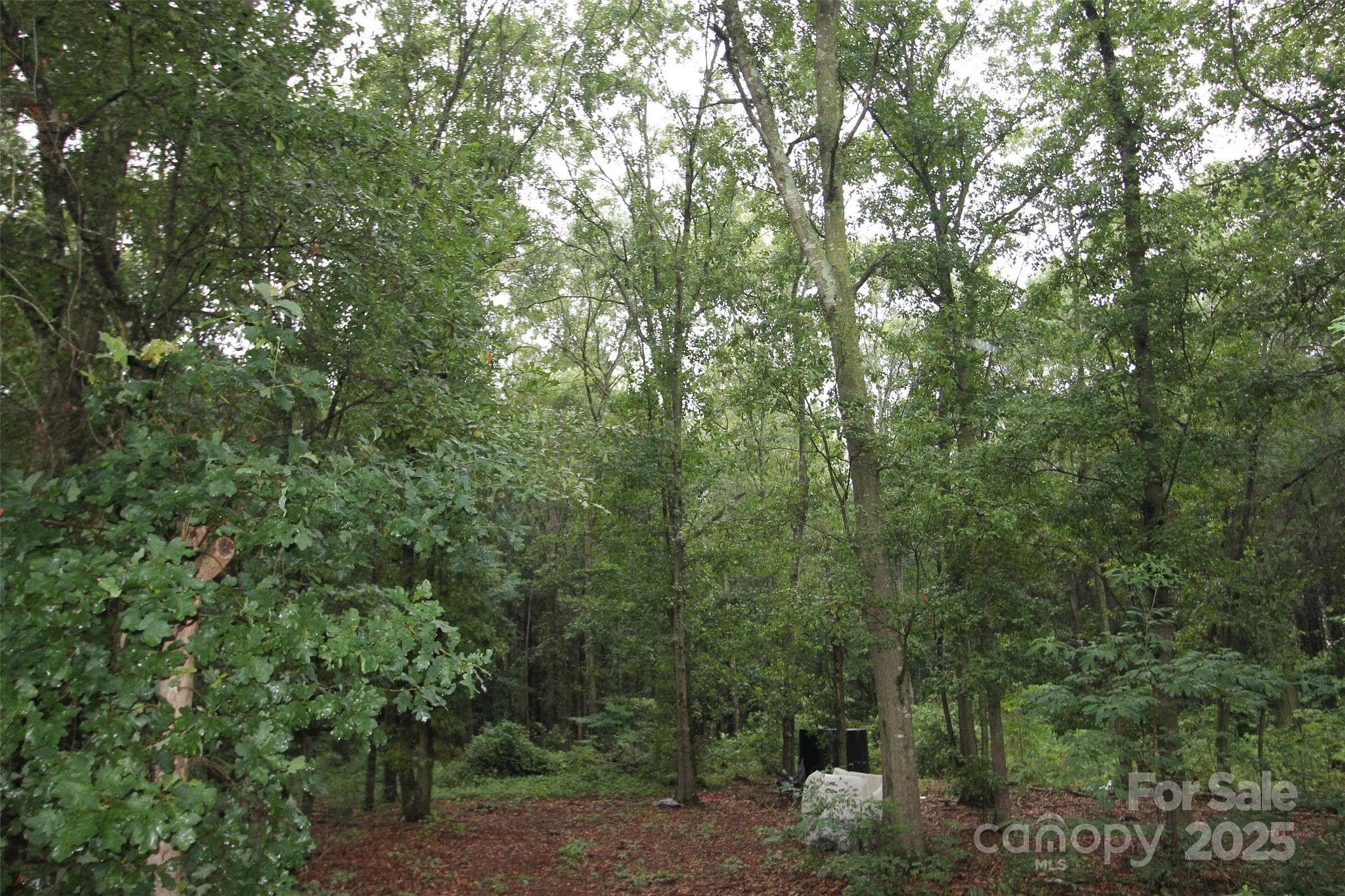Acreage at TBD Rainbow Road, Wadesboro, photo 2 of 4
