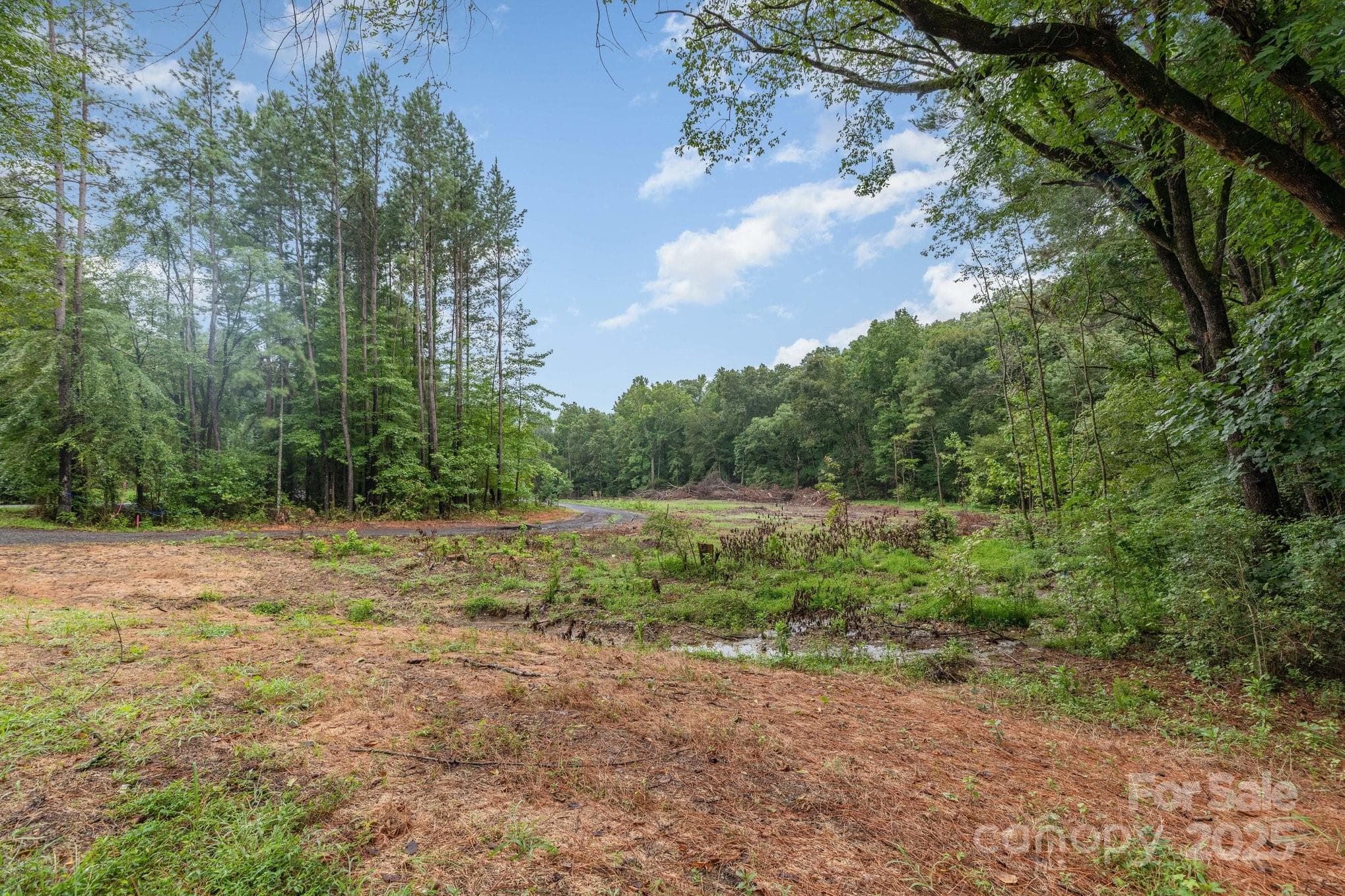 Acreage at Albemarle, photo 3 of 4