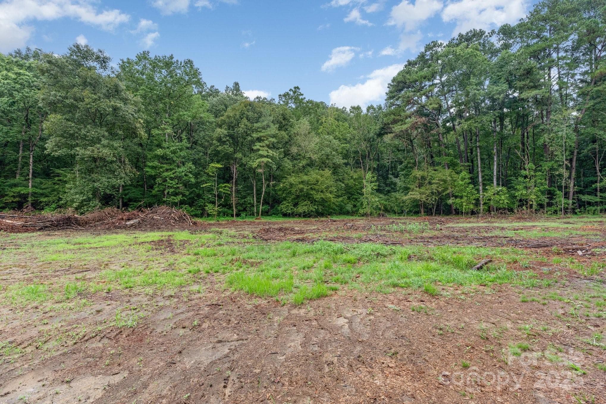 Acreage at Albemarle, photo 4 of 4