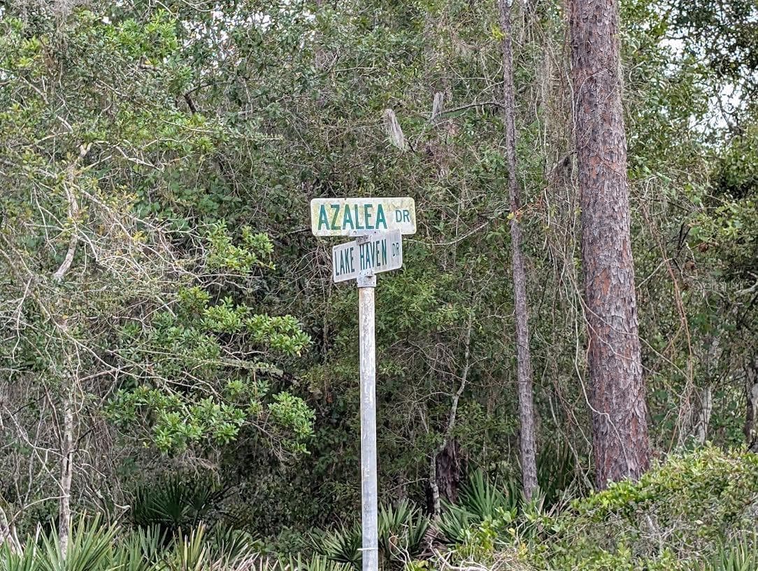 408 AZALEA DR