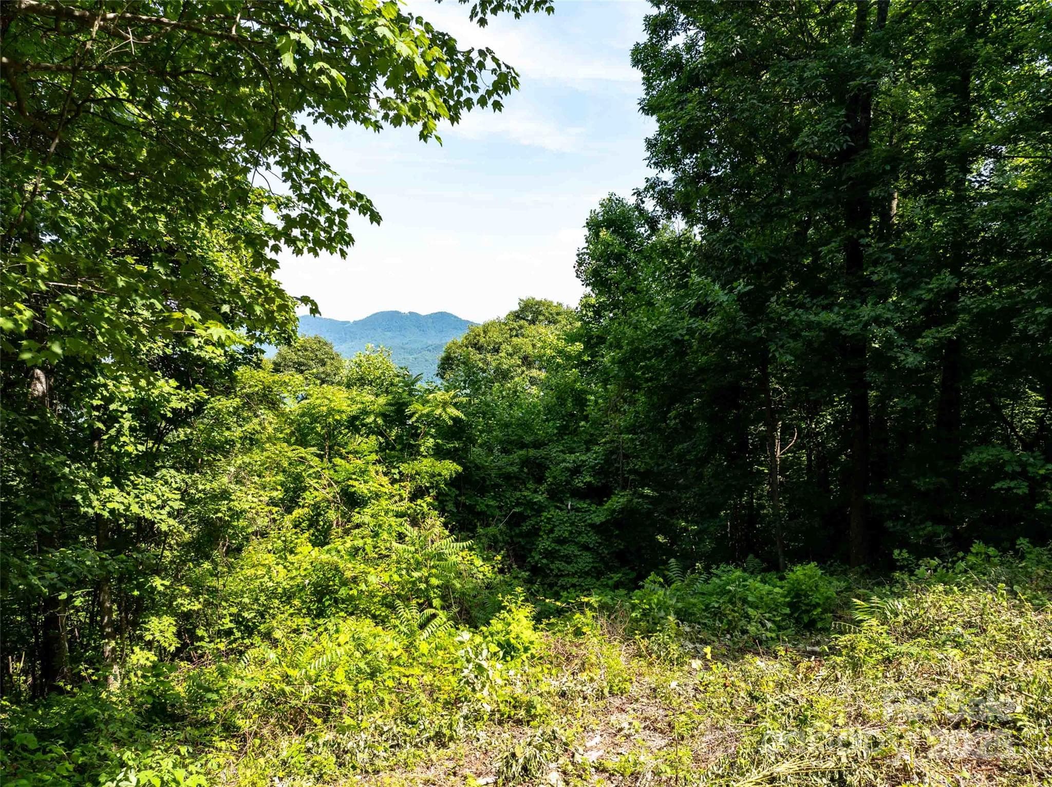 Lot at 2957 Creston Drive, Black Mountain, photo 3 of 25