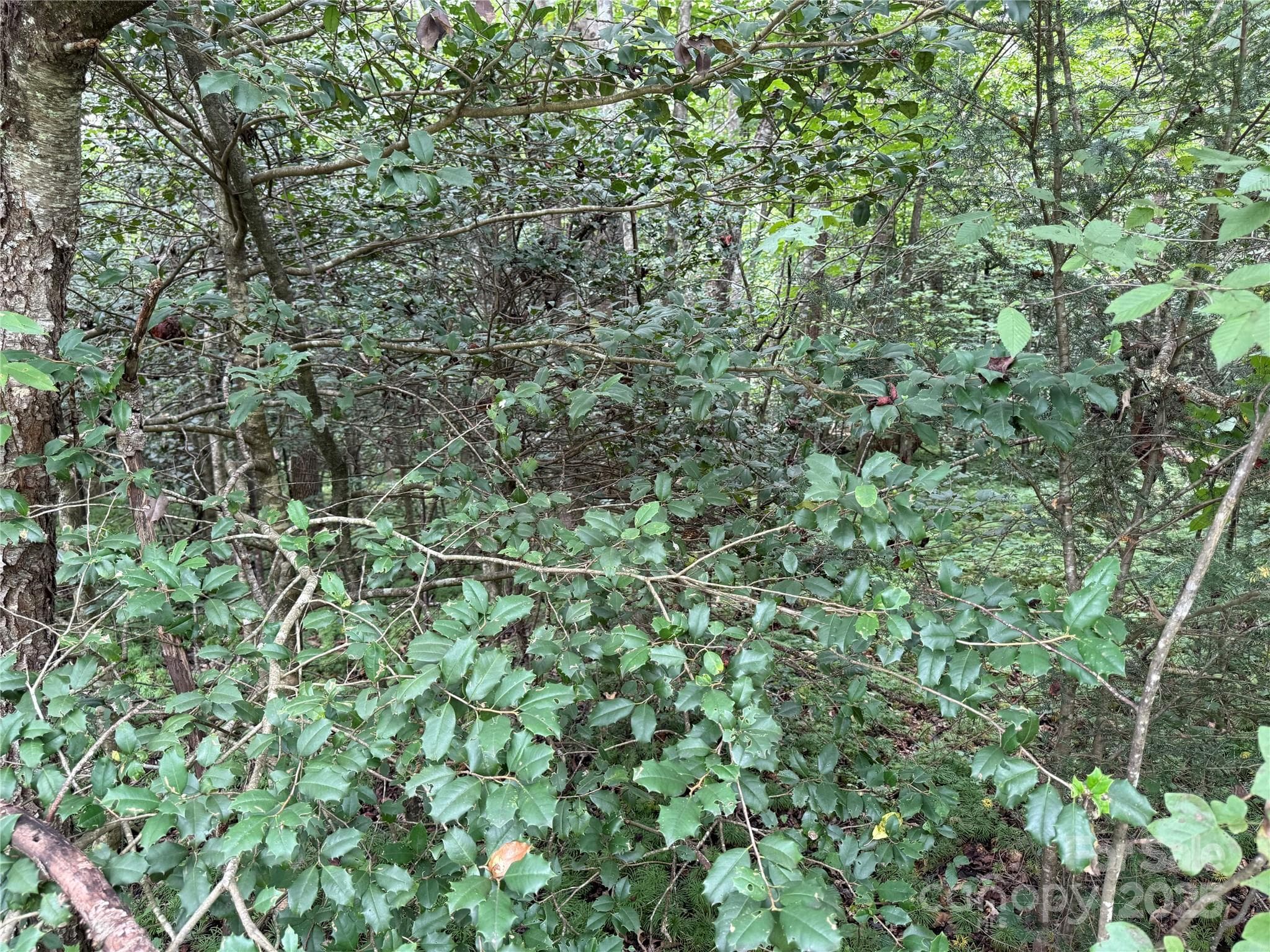 Lot 23-3 - Moravian Falls