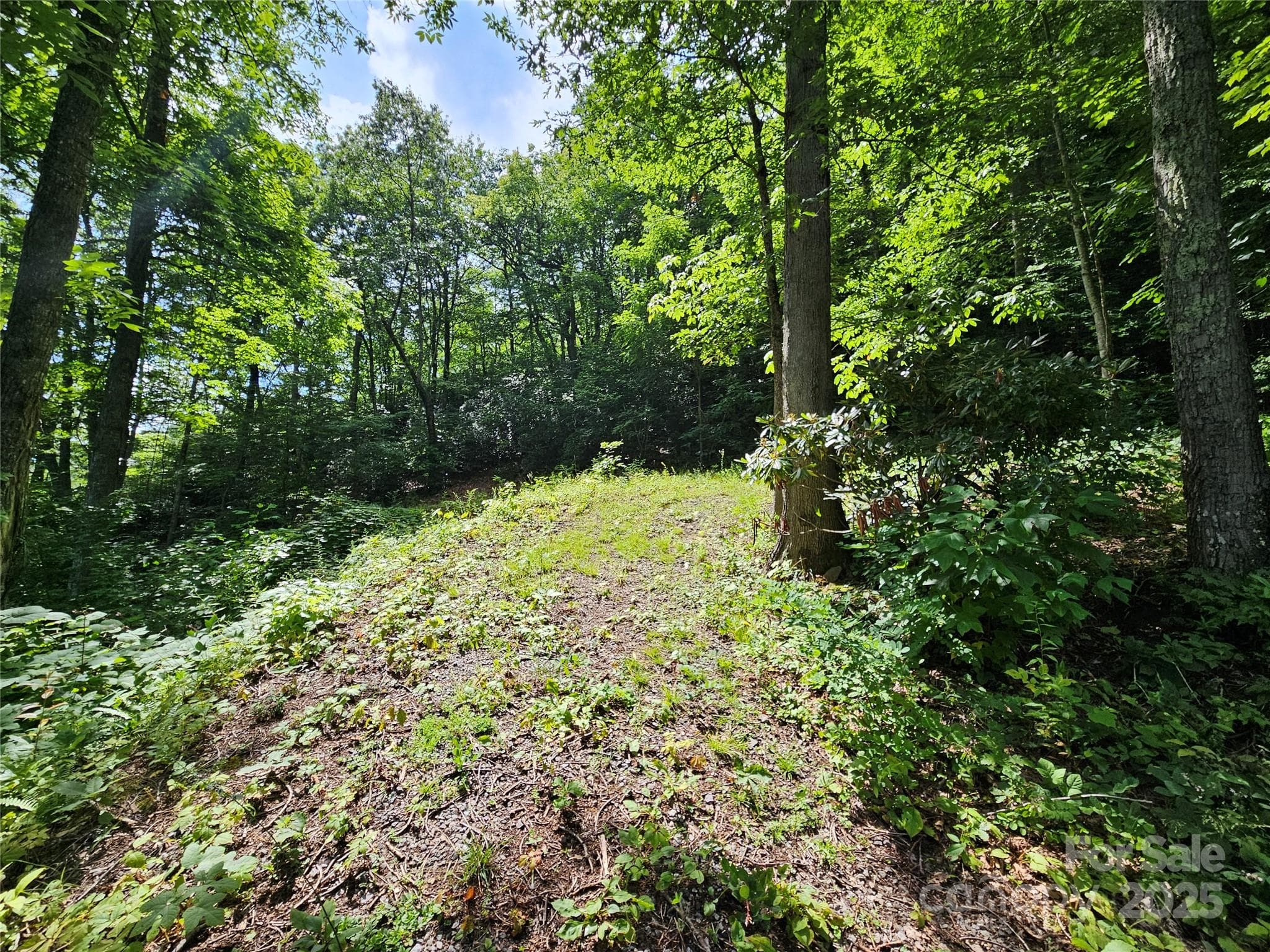 Lot at Boulder Ridge, Maggie Valley, photo 2 of 10