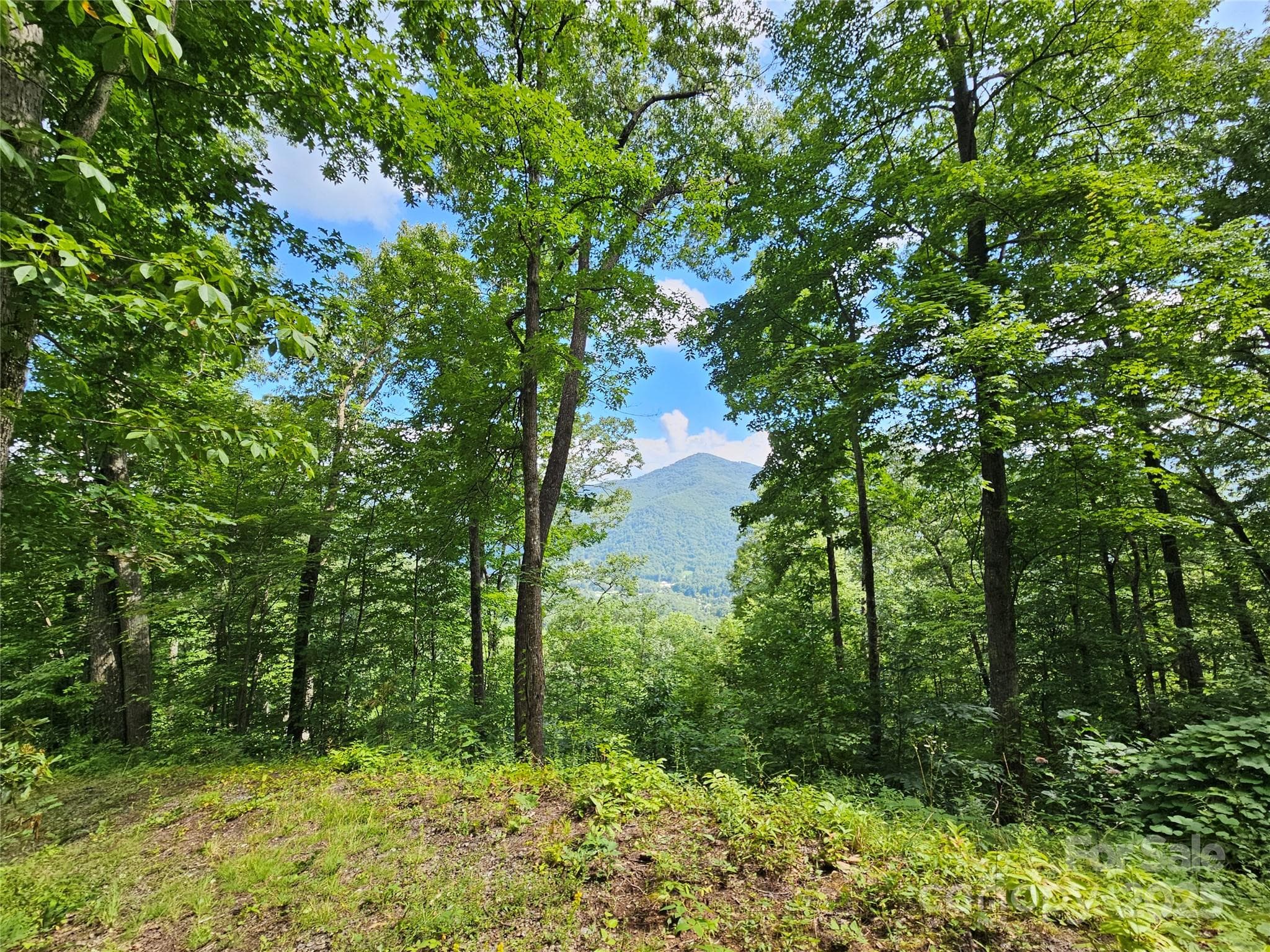 Lot at Boulder Ridge, Maggie Valley, photo 3 of 10