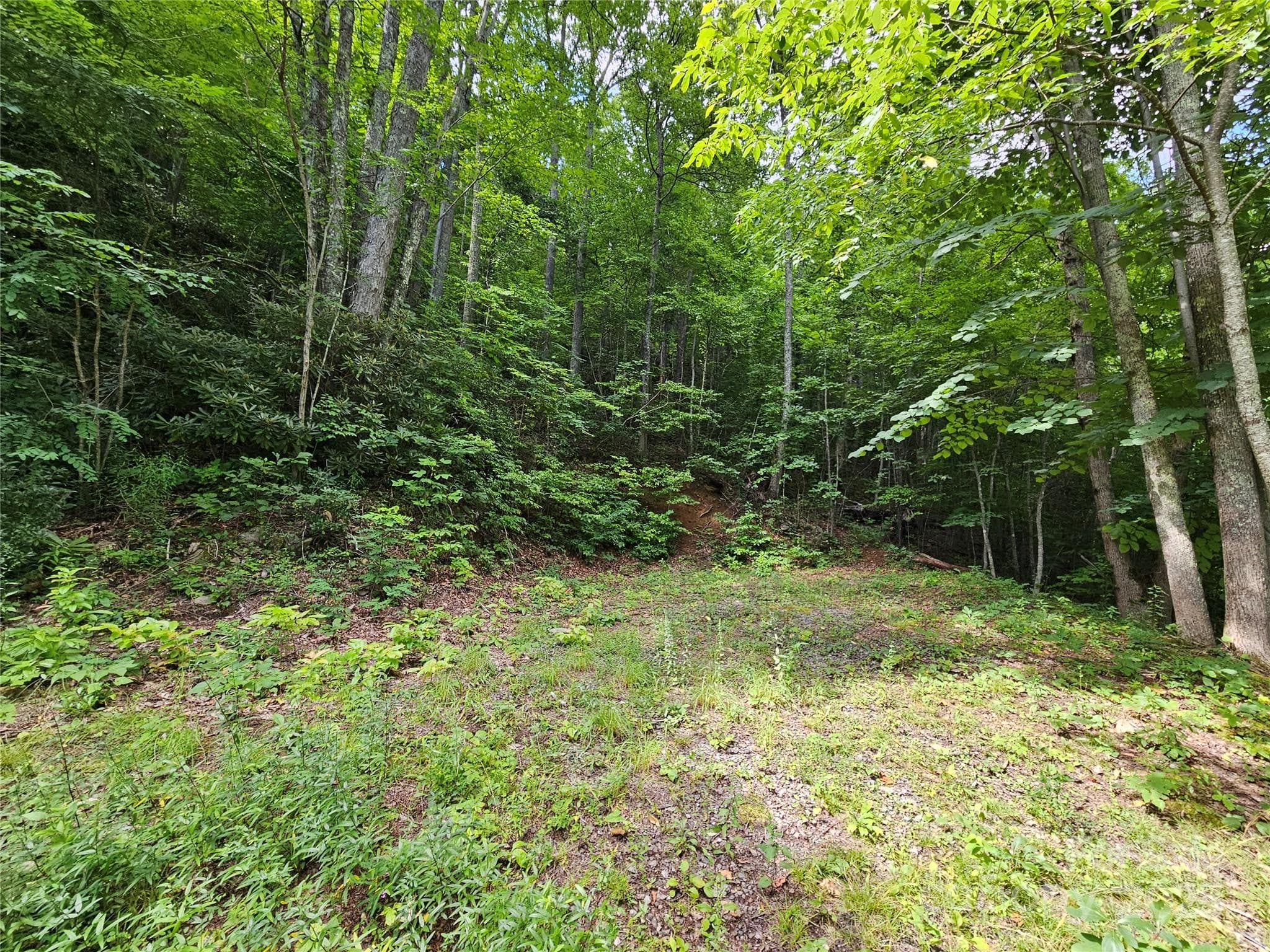 Lot at Boulder Ridge, Maggie Valley, photo 4 of 10