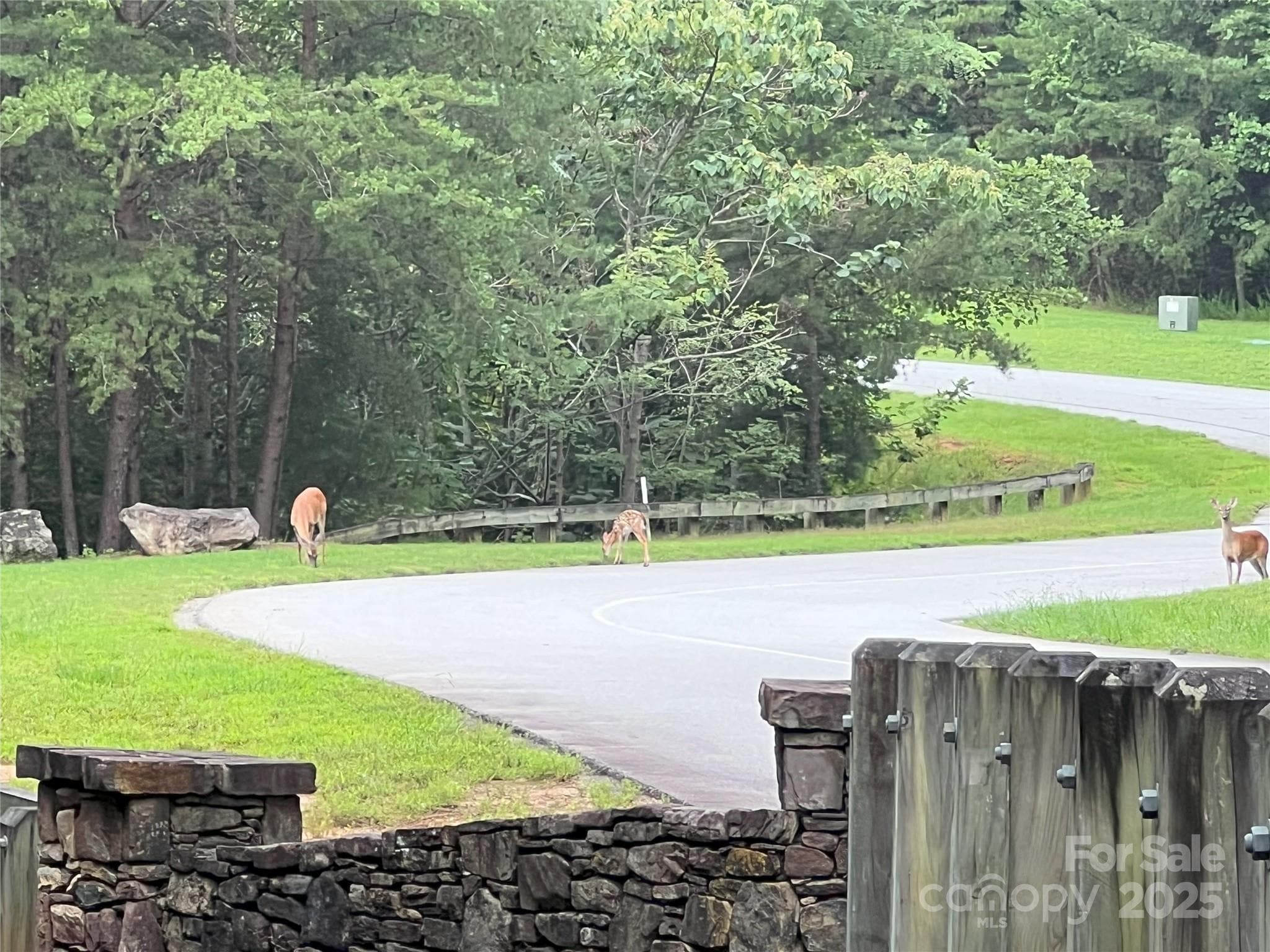 Lunch time! - 00 Deep Gap Road E, Mill Spring