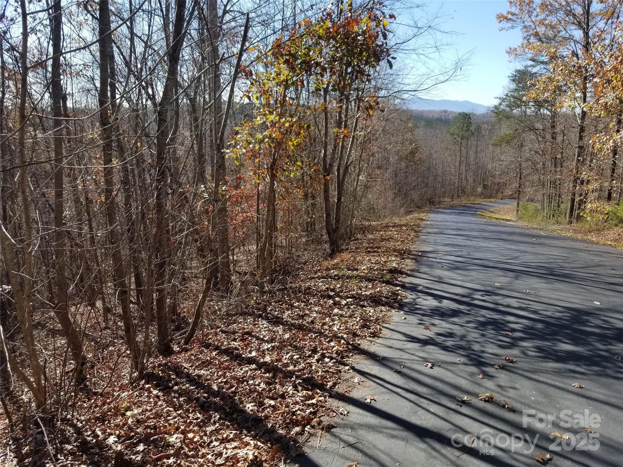 Lot at Mill Spring, photo 7 of 25