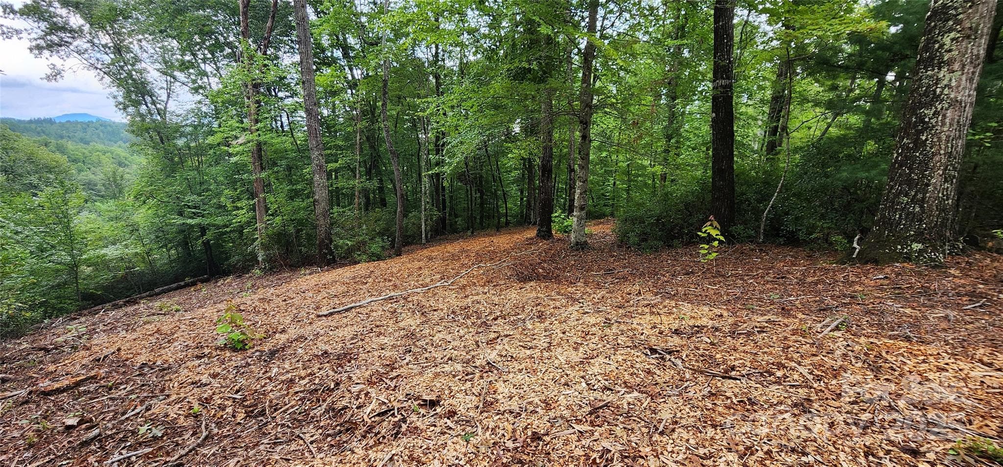 Lot at Mill Spring, photo 16 of 25