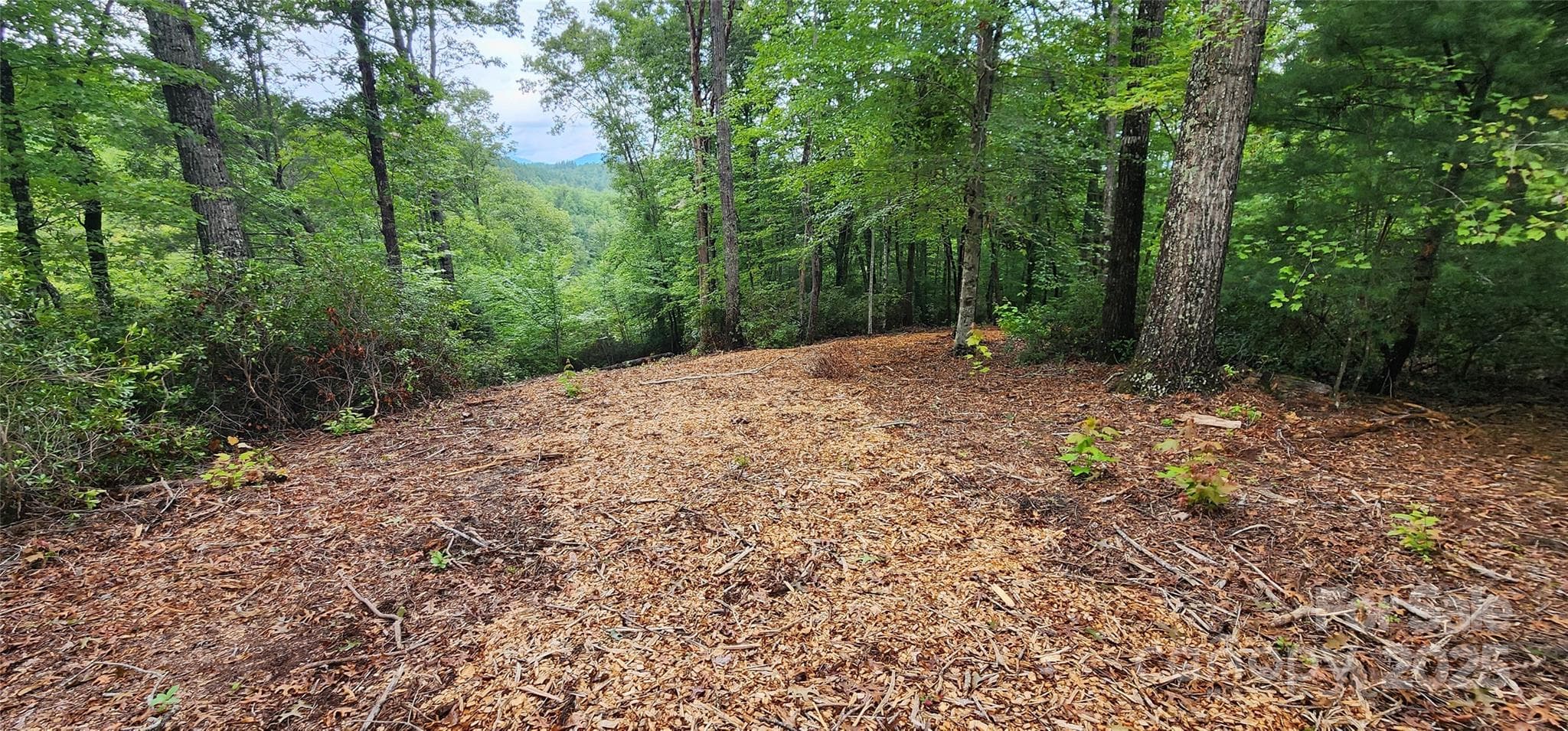 Lot at Mill Spring, photo 18 of 25
