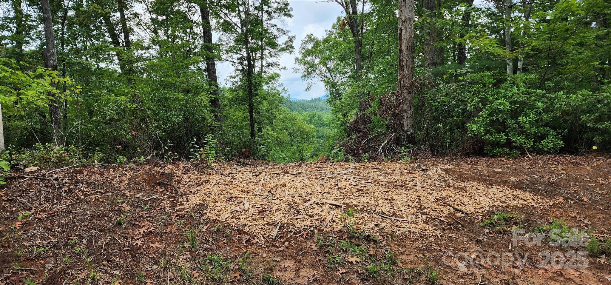 Lot at Mill Spring, photo 25 of 25