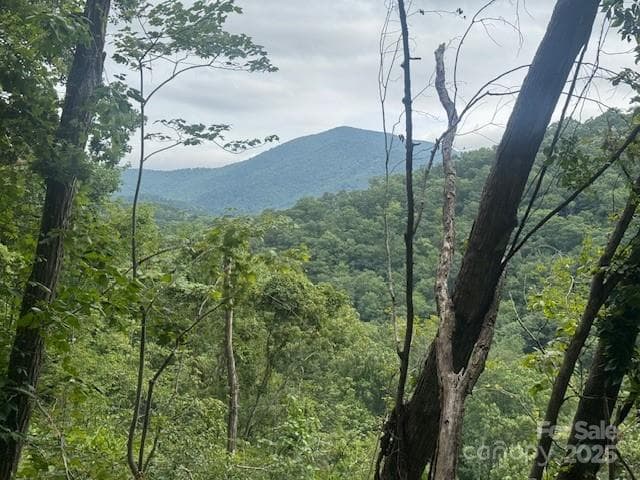 View from the property - Acreage, Burnsville