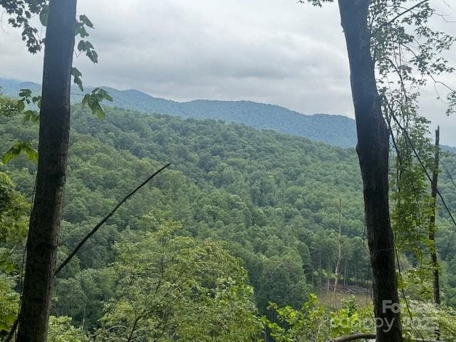 View from the property - Acreage, Burnsville
