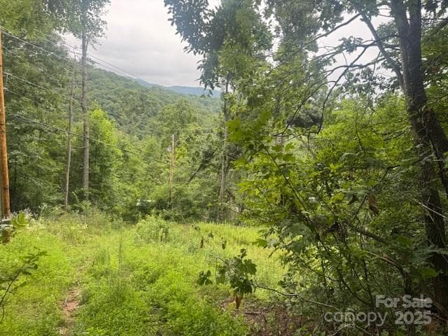 Level area perfect for the location of a house. - Acreage, Burnsville