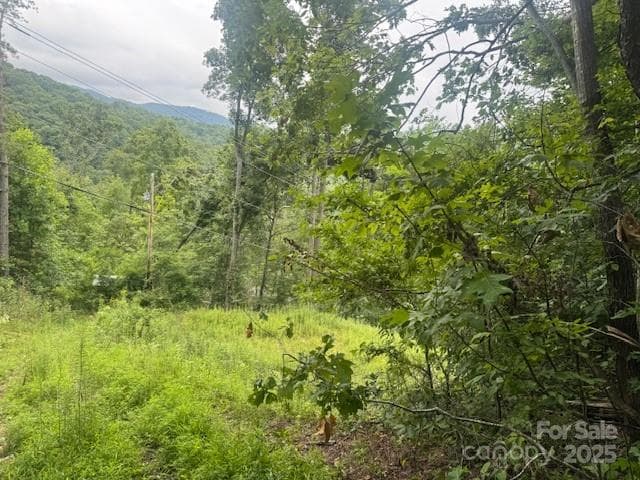 Level area - Acreage, Burnsville
