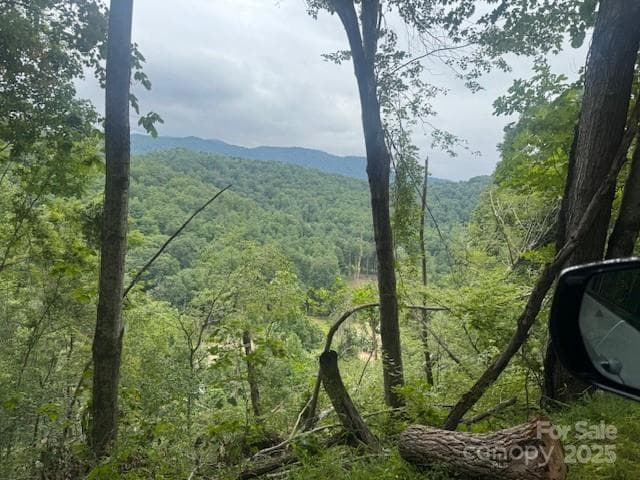 View from the property - Acreage, Burnsville