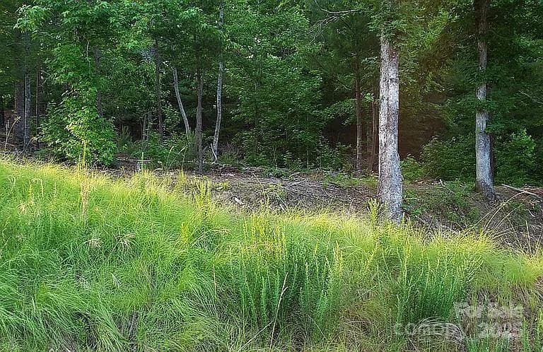 Lot at Nebo, photo 17 of 20