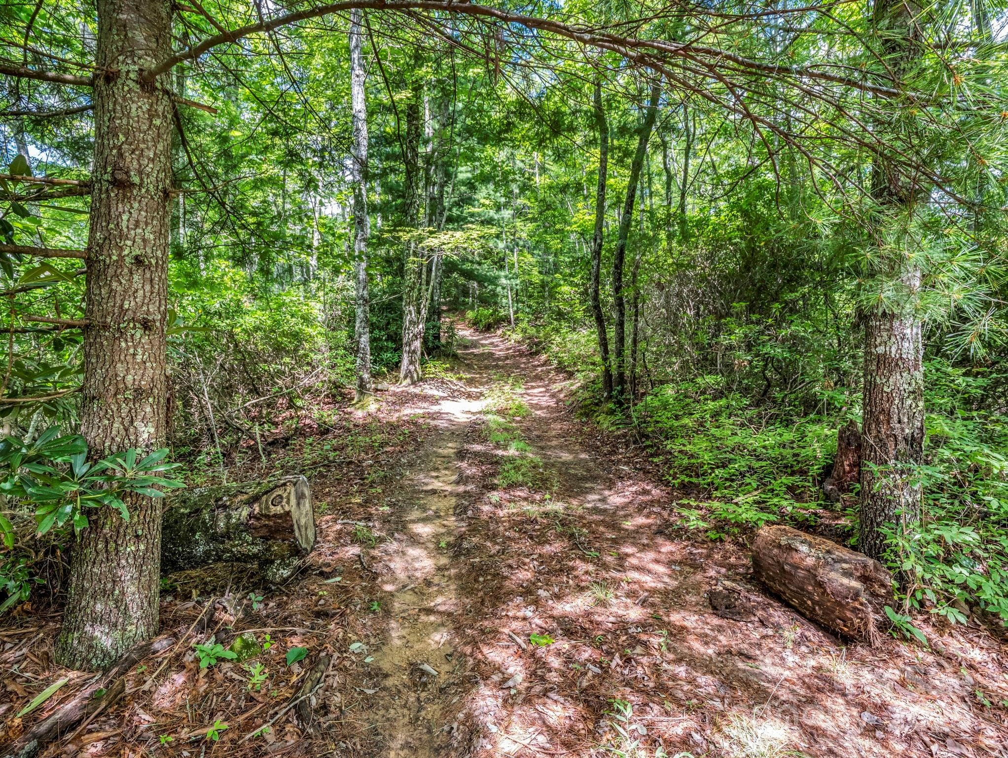 Acreage at Brevard, photo 2 of 30