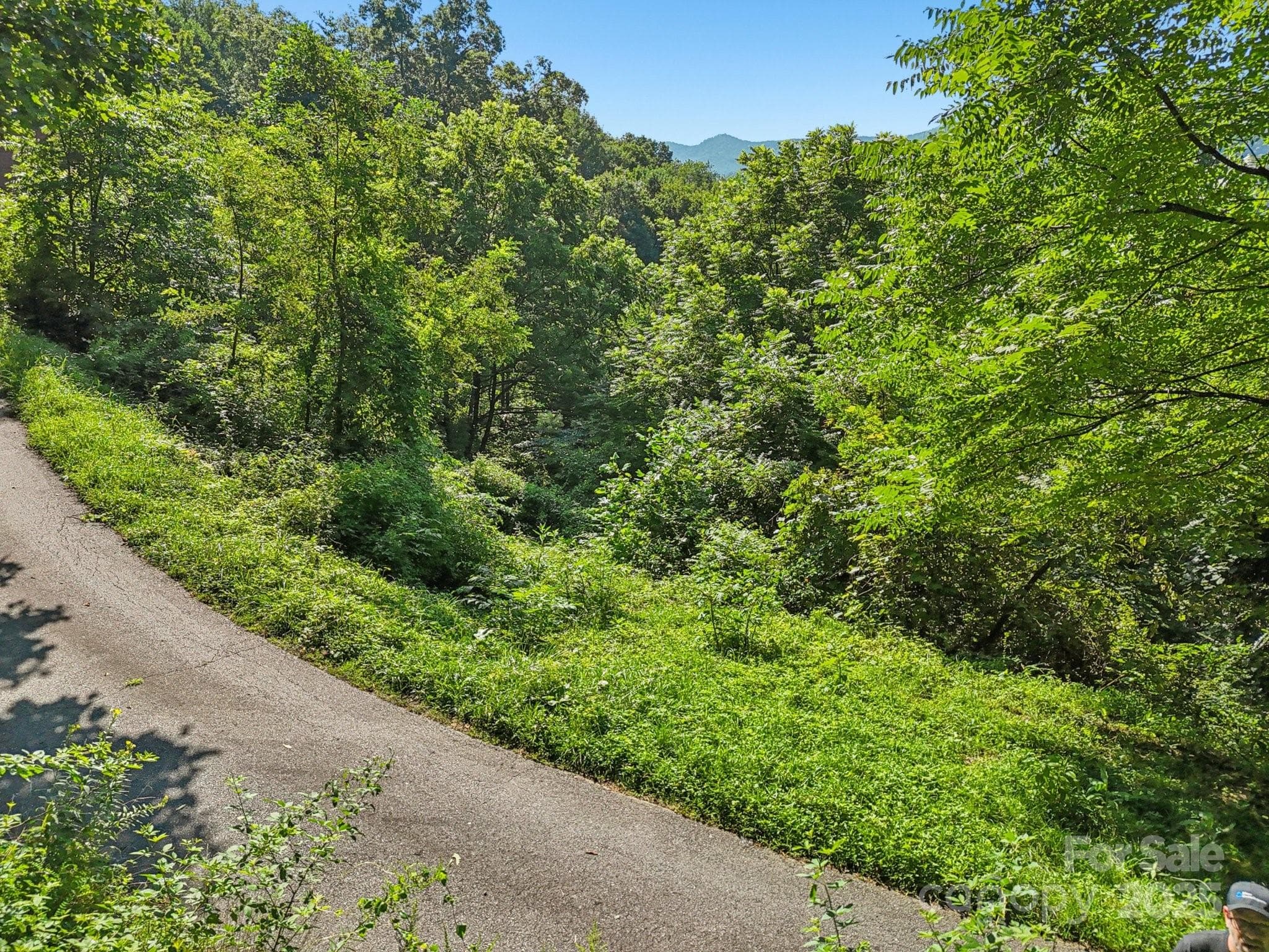 Valley Creek Run