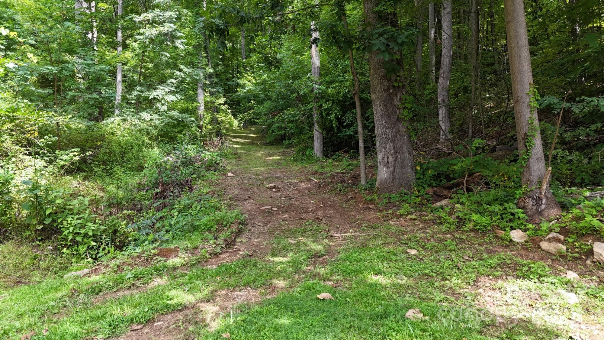Lot at Mountain Watch, Maggie Valley, photo 2 of 22