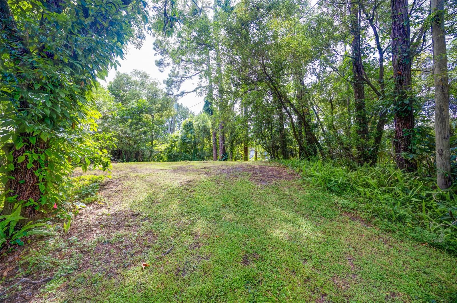 Land at 7408 TOM DR, LAND O LAKES, photo 9 of 31