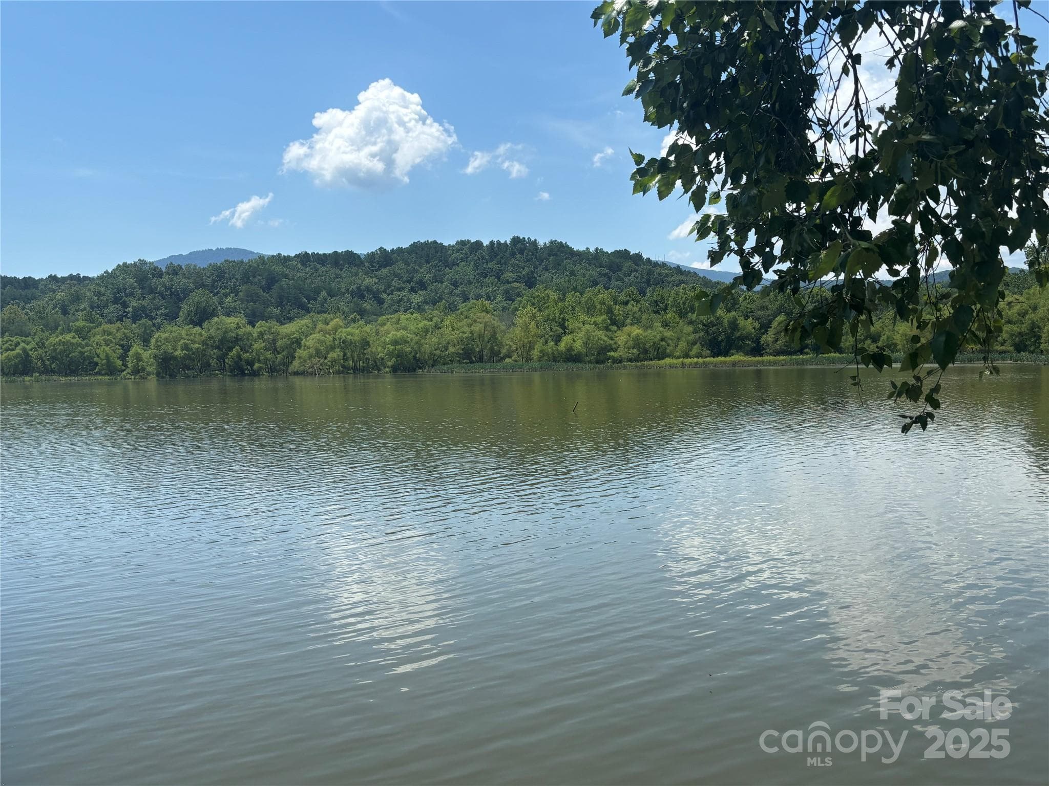 Lot at Mill Spring, photo 3 of 11