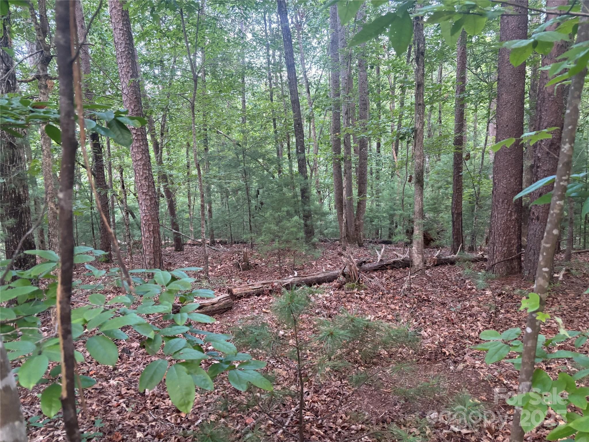 Lot at Mill Spring, photo 5 of 11