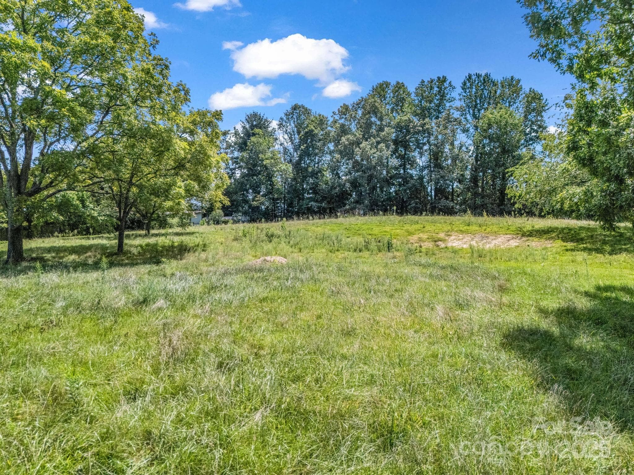 None at Hendersonville, photo 13 of 28