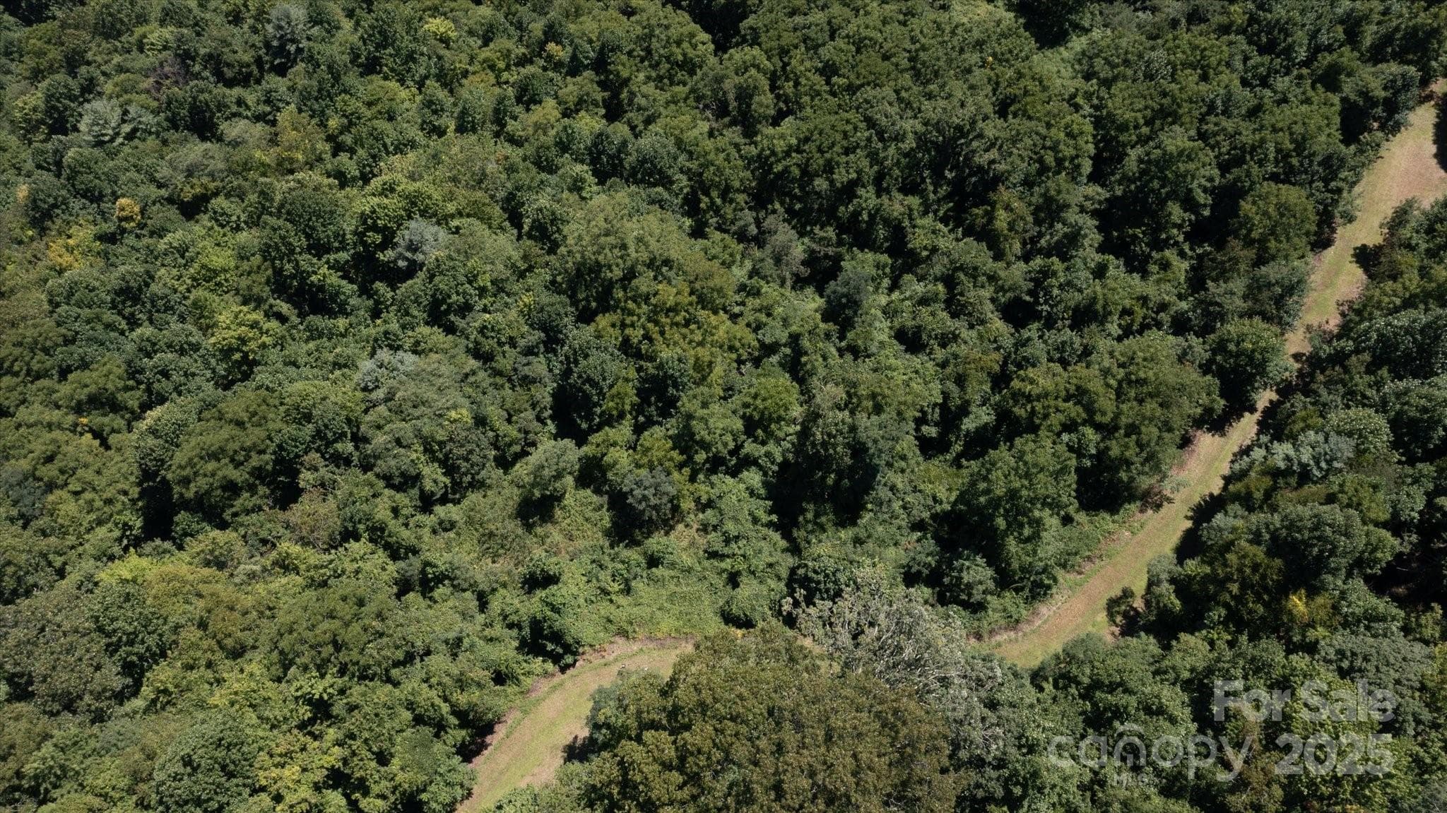 Escalante Road from drone - Waynesville
